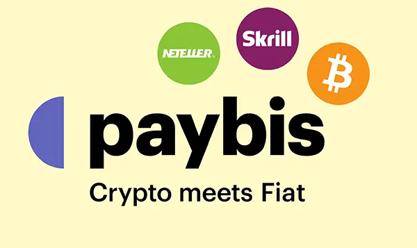 Paybis payment options
